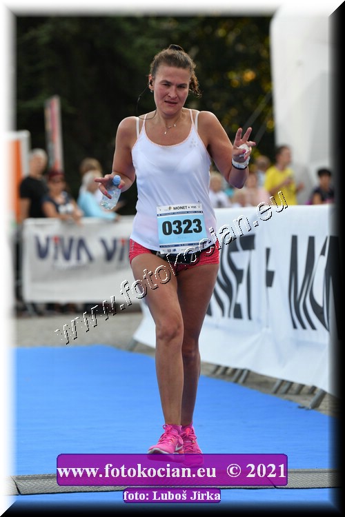 Náhled obrázku: 2021-2031-Zlin-323.JPG