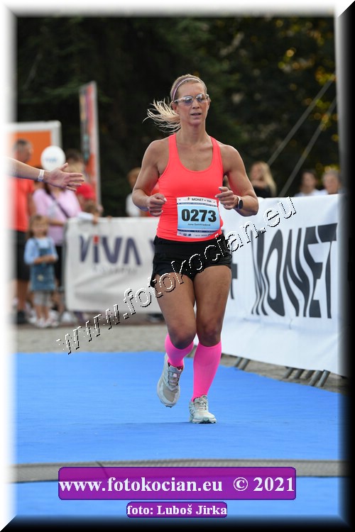 Náhled obrázku: 2021-2155-Zlin-273.JPG