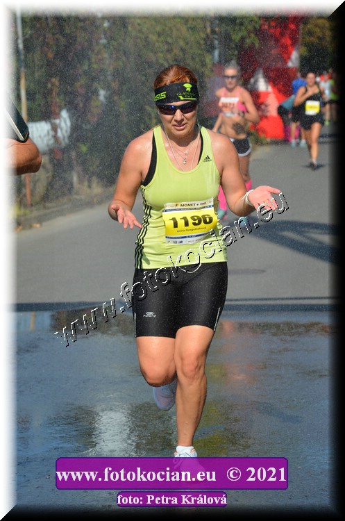 Náhled obrázku: 2021-4415-Zlin-1196.JPG