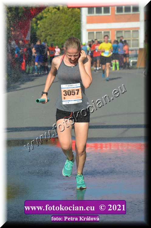 Náhled obrázku: 2021-4911-Zlin-3057.JPG