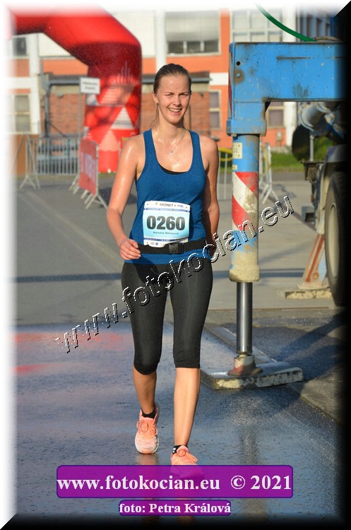 Náhled obrázku: 2021-5246-Zlin-260.JPG