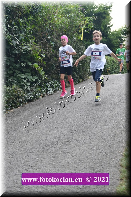 Náhled obrázku: 2021-3926-Zlin-108,25.JPG