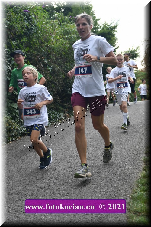 Náhled obrázku: 2021-3931-Zlin-343,147.JPG