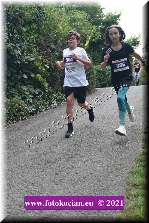 Náhled obrázku: 2021-3947-Zlin-504,386.JPG