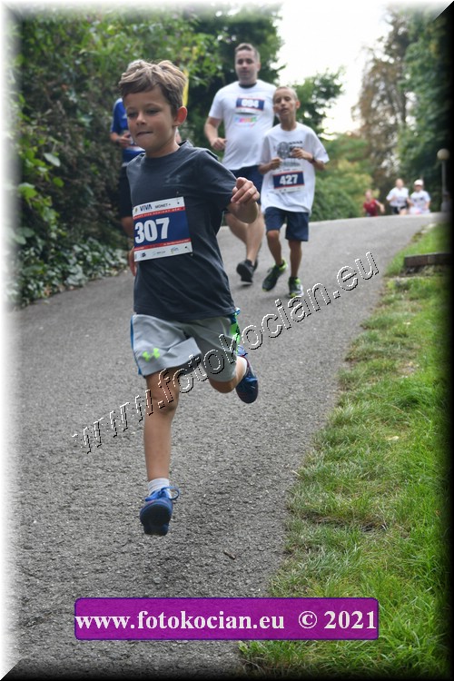 Náhled obrázku: 2021-3951-Zlin-307.JPG