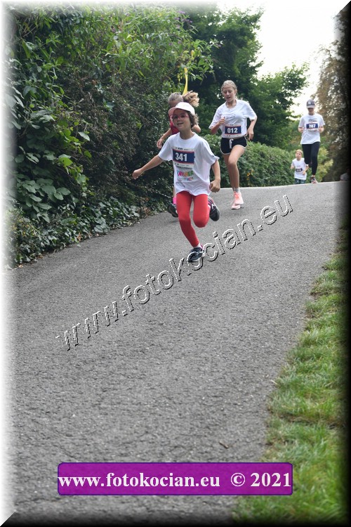 Náhled obrázku: 2021-3955-Zlin-341,12.JPG