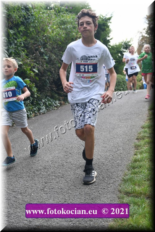 Náhled obrázku: 2021-3961-Zlin-515.JPG