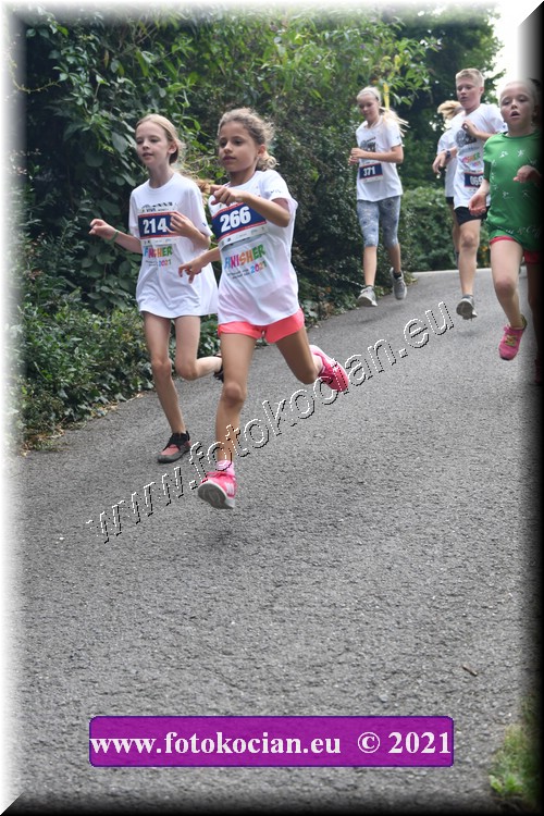 Náhled obrázku: 2021-3963-Zlin-214,266.JPG