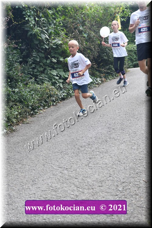 Náhled obrázku: 2021-3993-Zlin-425,444.JPG