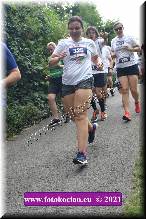 Náhled obrázku: 2021-4061-Zlin-325.JPG