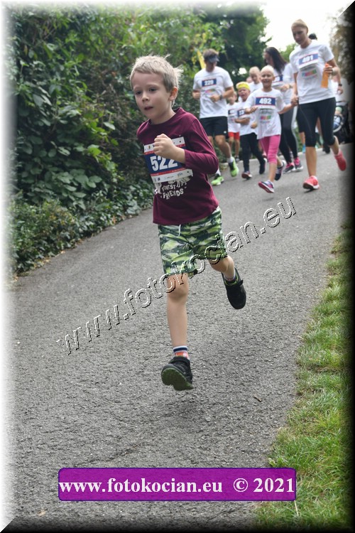 Náhled obrázku: 2021-4111-Zlin-522.JPG