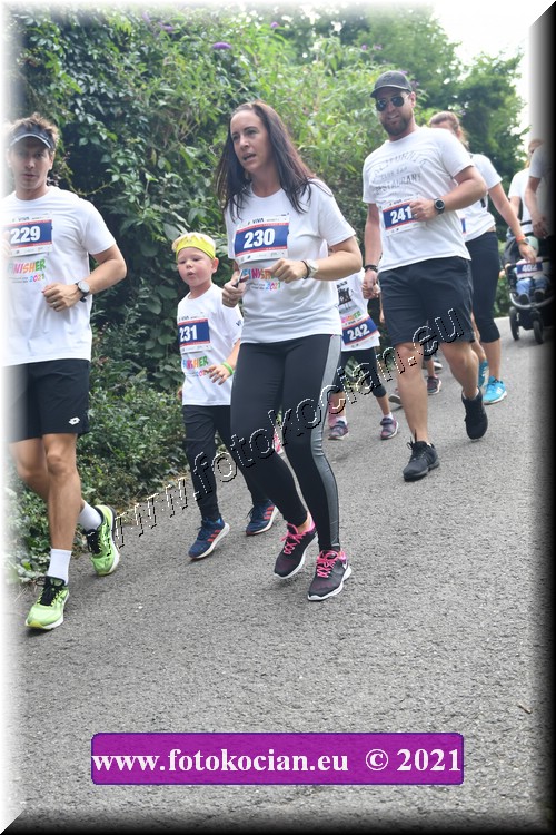 Náhled obrázku: 2021-4114-Zlin-229,230,231,241.JPG