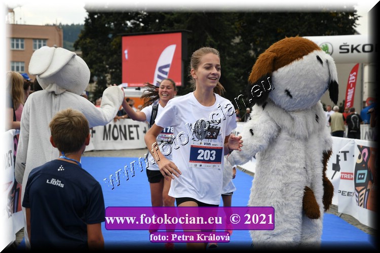 Náhled obrázku: 2021-1161-Zlin-203.JPG