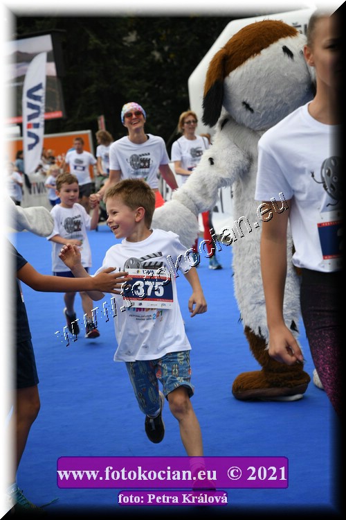 Náhled obrázku: 2021-1175-Zlin-375.JPG