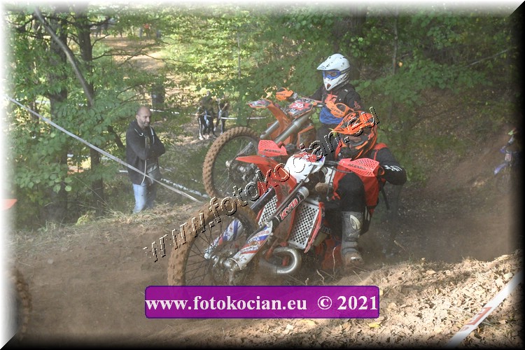 Náhled obrázku: 2021-2597-Radec-.JPG