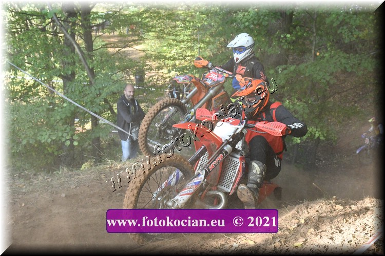 Náhled obrázku: 2021-2598-Radec-.JPG