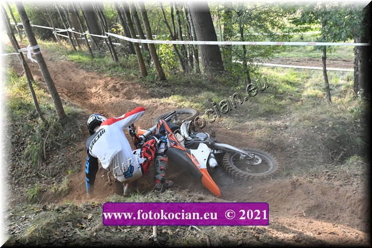 Náhled obrázku: 2021-2605-Radec-.JPG