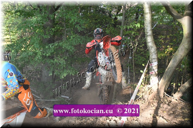 Náhled obrázku: 2021-2611-Radec-.JPG