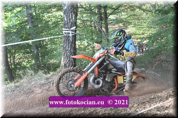 Náhled obrázku: 2021-2642-Radec-.JPG