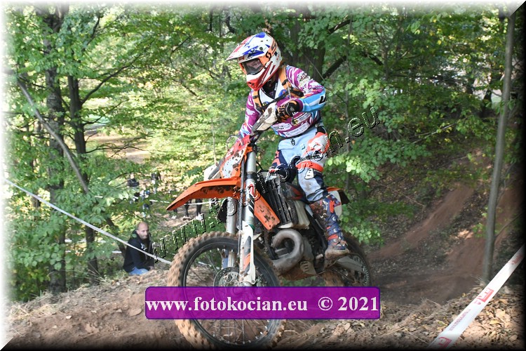 Náhled obrázku: 2021-2703-Radec-.JPG