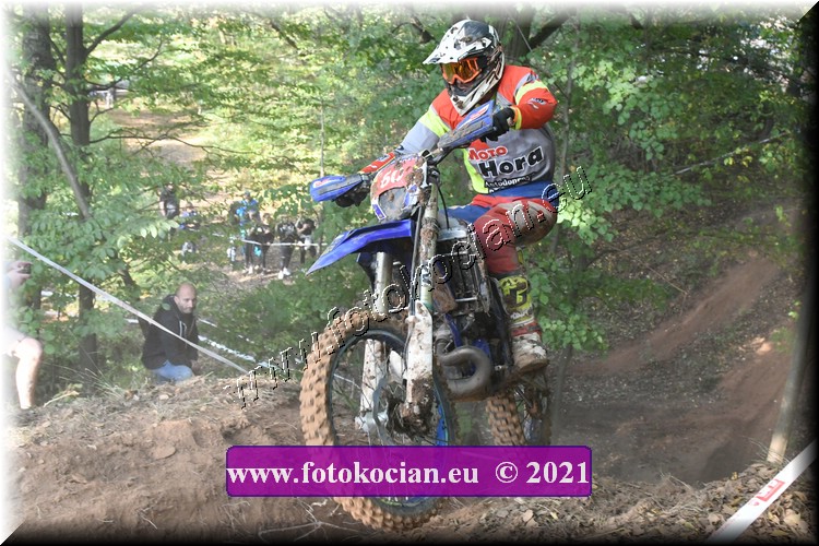 Náhled obrázku: 2021-2713-Radec-.JPG