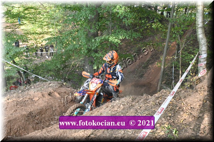 Náhled obrázku: 2021-2731-Radec-.JPG