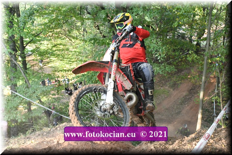 Náhled obrázku: 2021-2756-Radec-.JPG