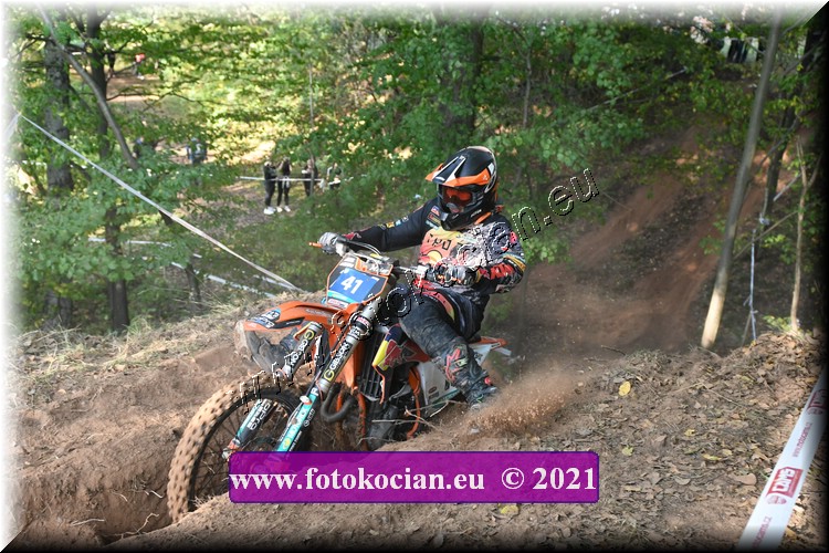 Náhled obrázku: 2021-2787-Radec-.JPG