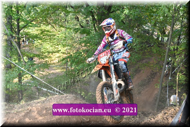 Náhled obrázku: 2021-2850-Radec-.JPG