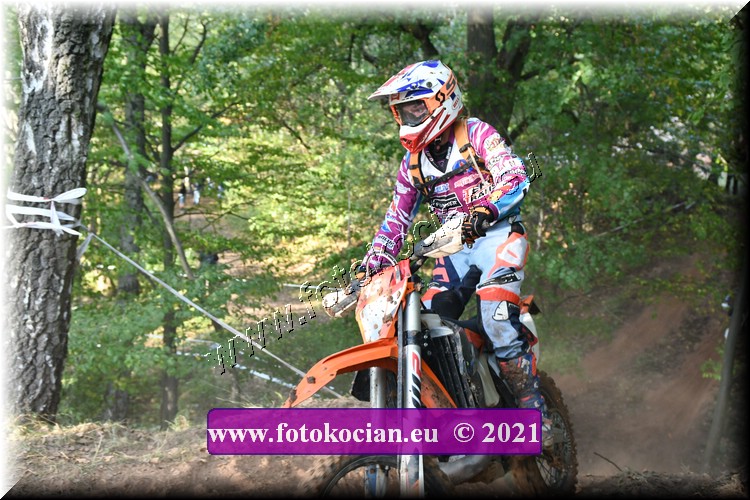 Náhled obrázku: 2021-2851-Radec-.JPG