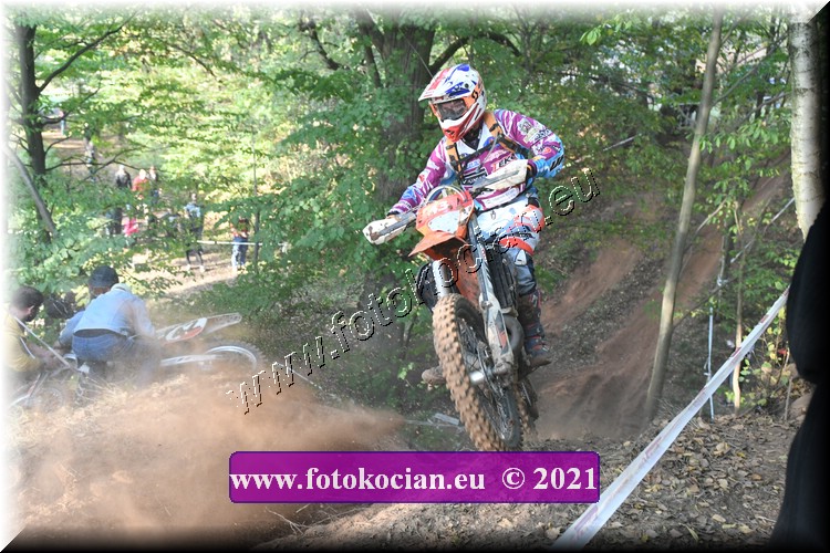 Náhled obrázku: 2021-2913-Radec-.JPG