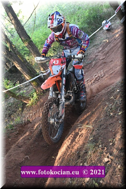 Náhled obrázku: 2021-3025-Radec-.JPG