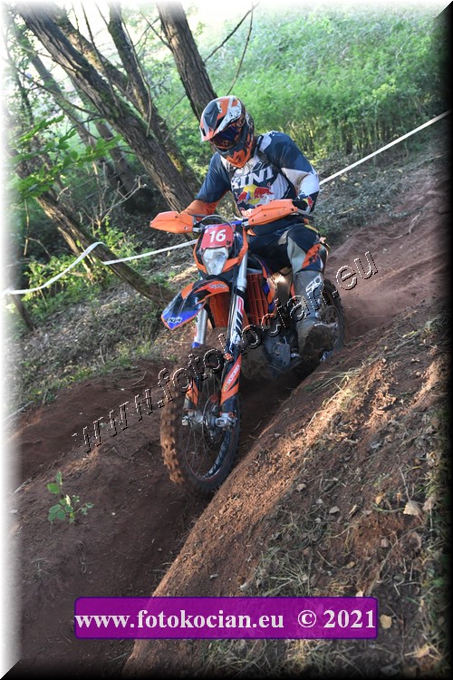 Náhled obrázku: 2021-3090-Radec-.JPG