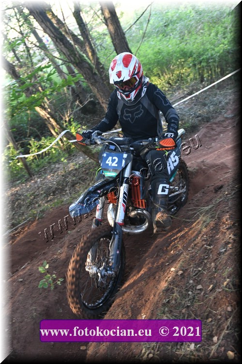 Náhled obrázku: 2021-3114-Radec-.JPG