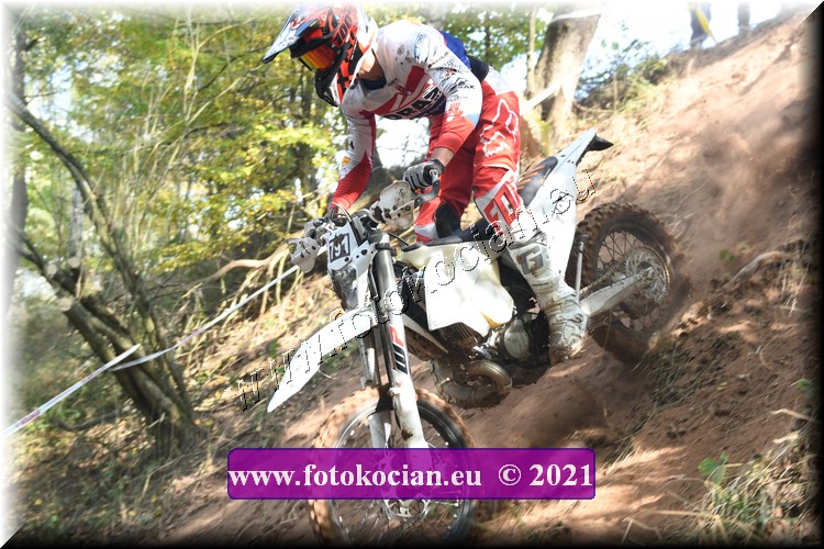 Náhled obrázku: 2021-2357-Radec-.JPG