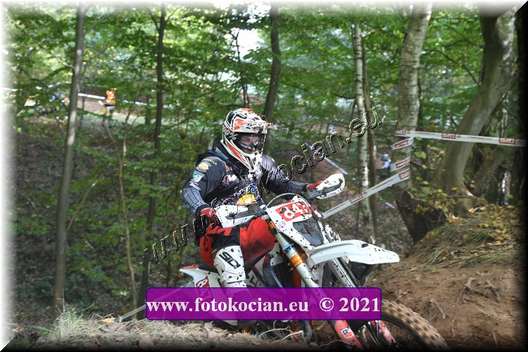 Náhled obrázku: 2021-1098-Radec-.JPG