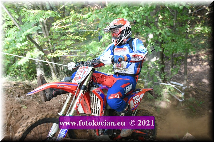 Náhled obrázku: 2021-1372-Radec-.JPG