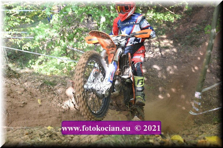 Náhled obrázku: 2021-1389-Radec-.JPG