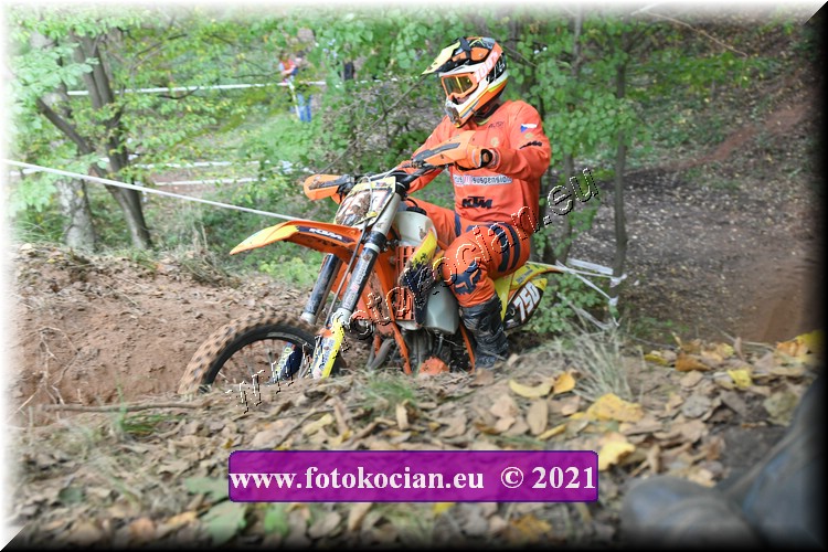 Náhled obrázku: 2021-1472-Radec-.JPG