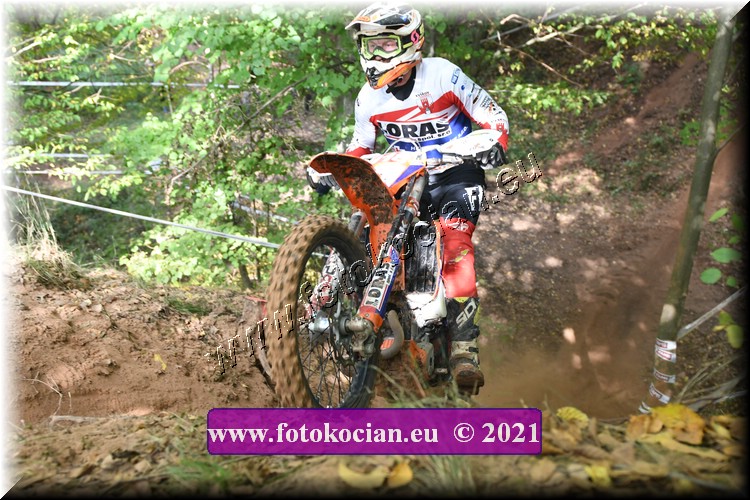 Náhled obrázku: 2021-1541-Radec-.JPG