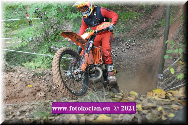 Náhled obrázku: 2021-1593-Radec-.JPG