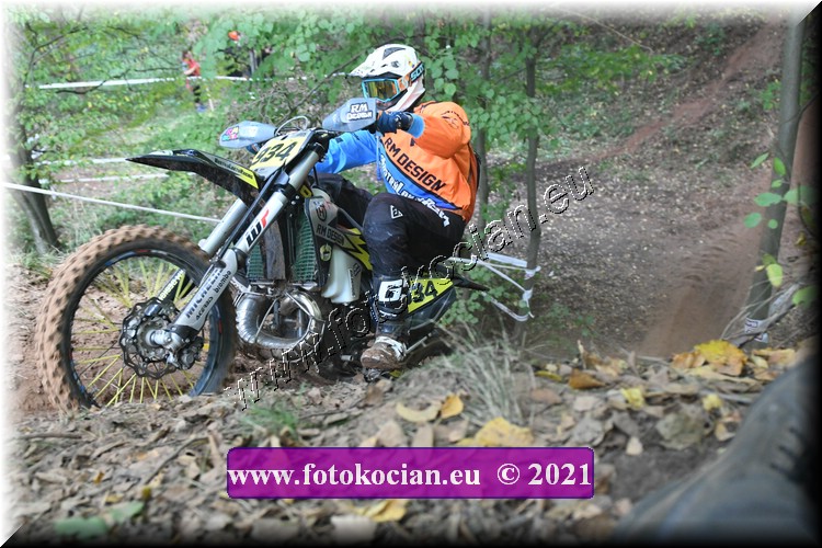 Náhled obrázku: 2021-1617-Radec-.JPG