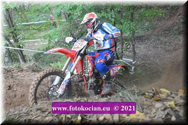 Náhled obrázku: 2021-1672-Radec-.JPG