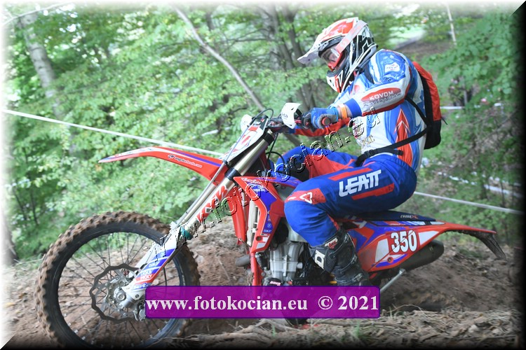 Náhled obrázku: 2021-1675-Radec-.JPG