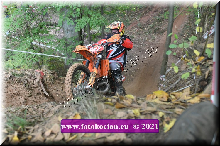 Náhled obrázku: 2021-1700-Radec-.JPG