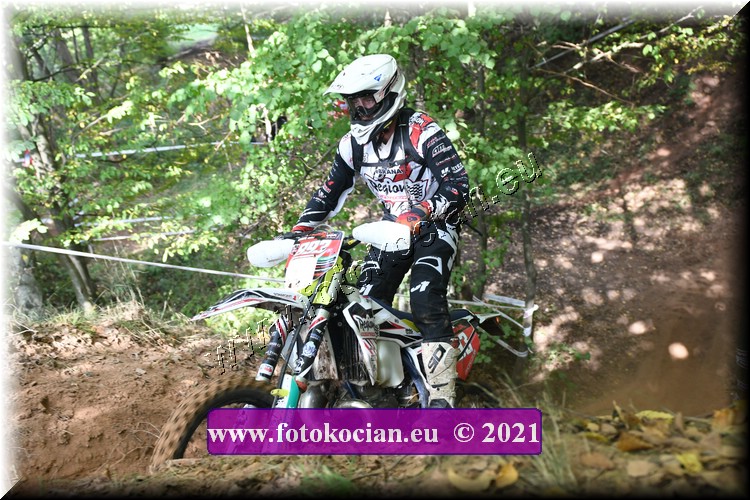 Náhled obrázku: 2021-1739-Radec-.JPG