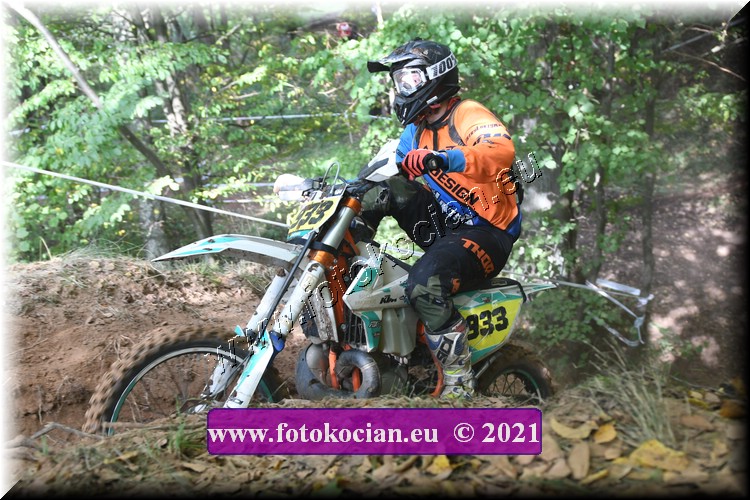 Náhled obrázku: 2021-1797-Radec-.JPG