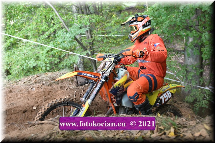 Náhled obrázku: 2021-1812-Radec-.JPG