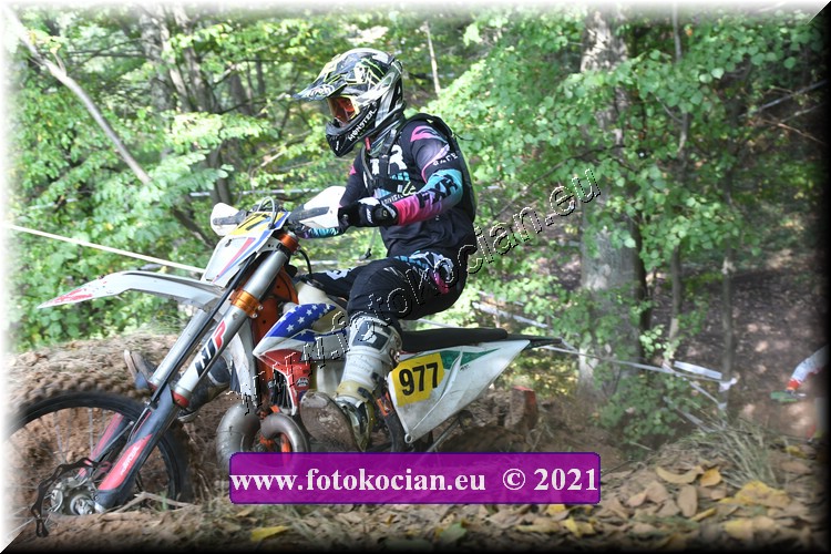 Náhled obrázku: 2021-1997-Radec-.JPG