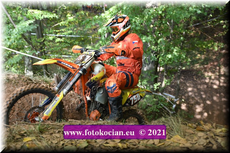 Náhled obrázku: 2021-2095-Radec-.JPG